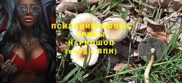 СК Верея