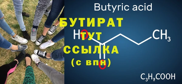 шишки Сатка